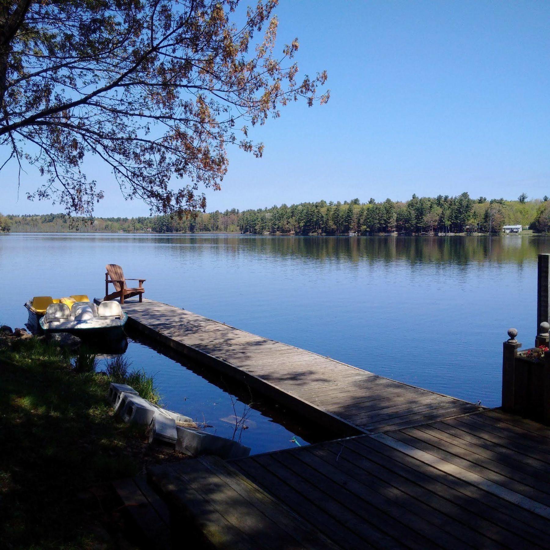 Black Lake Cabins Torrance المظهر الخارجي الصورة