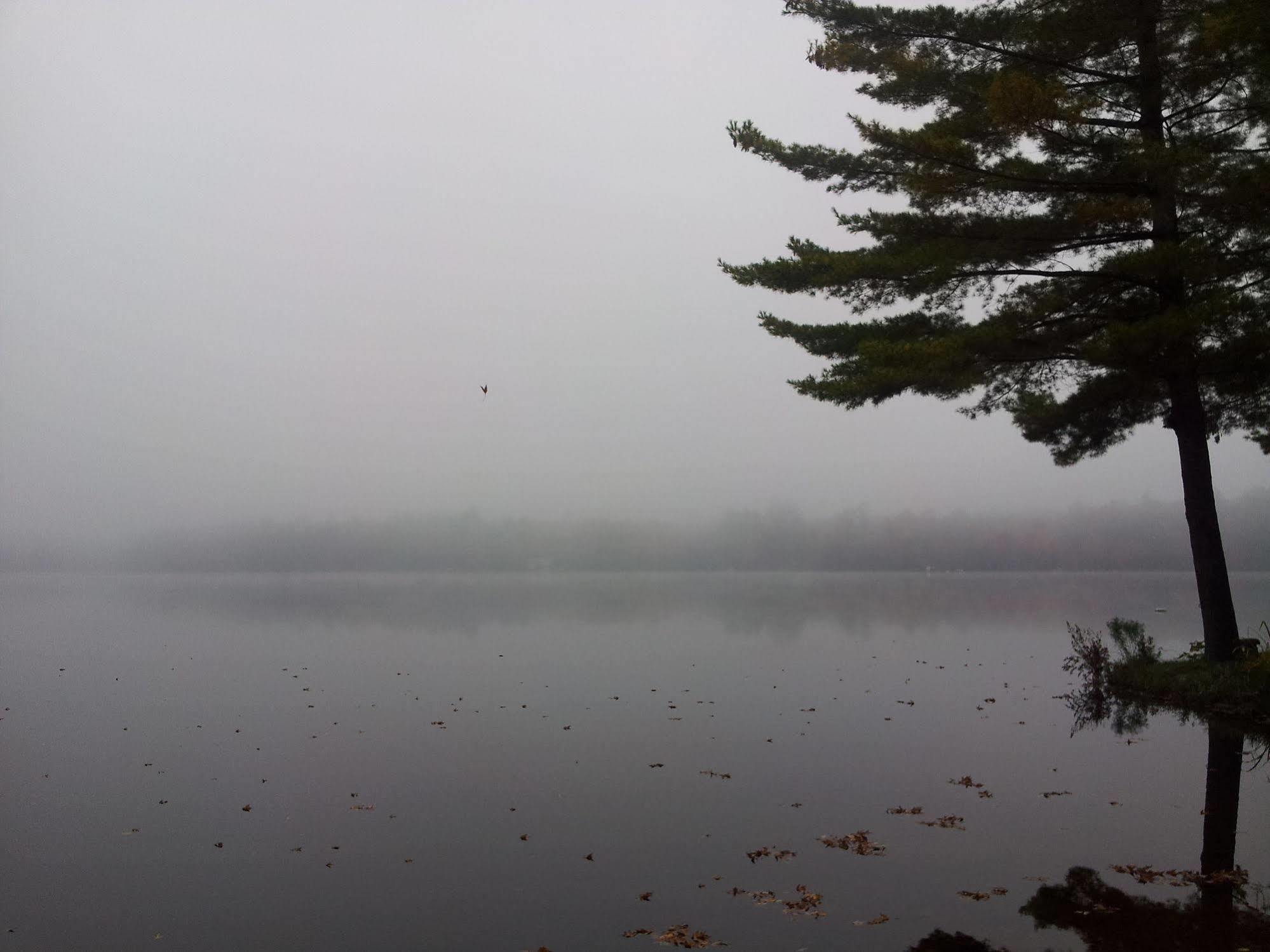 Black Lake Cabins Torrance المظهر الخارجي الصورة